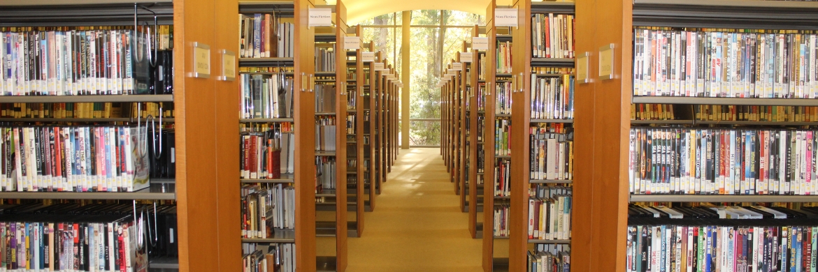 Library stacks
