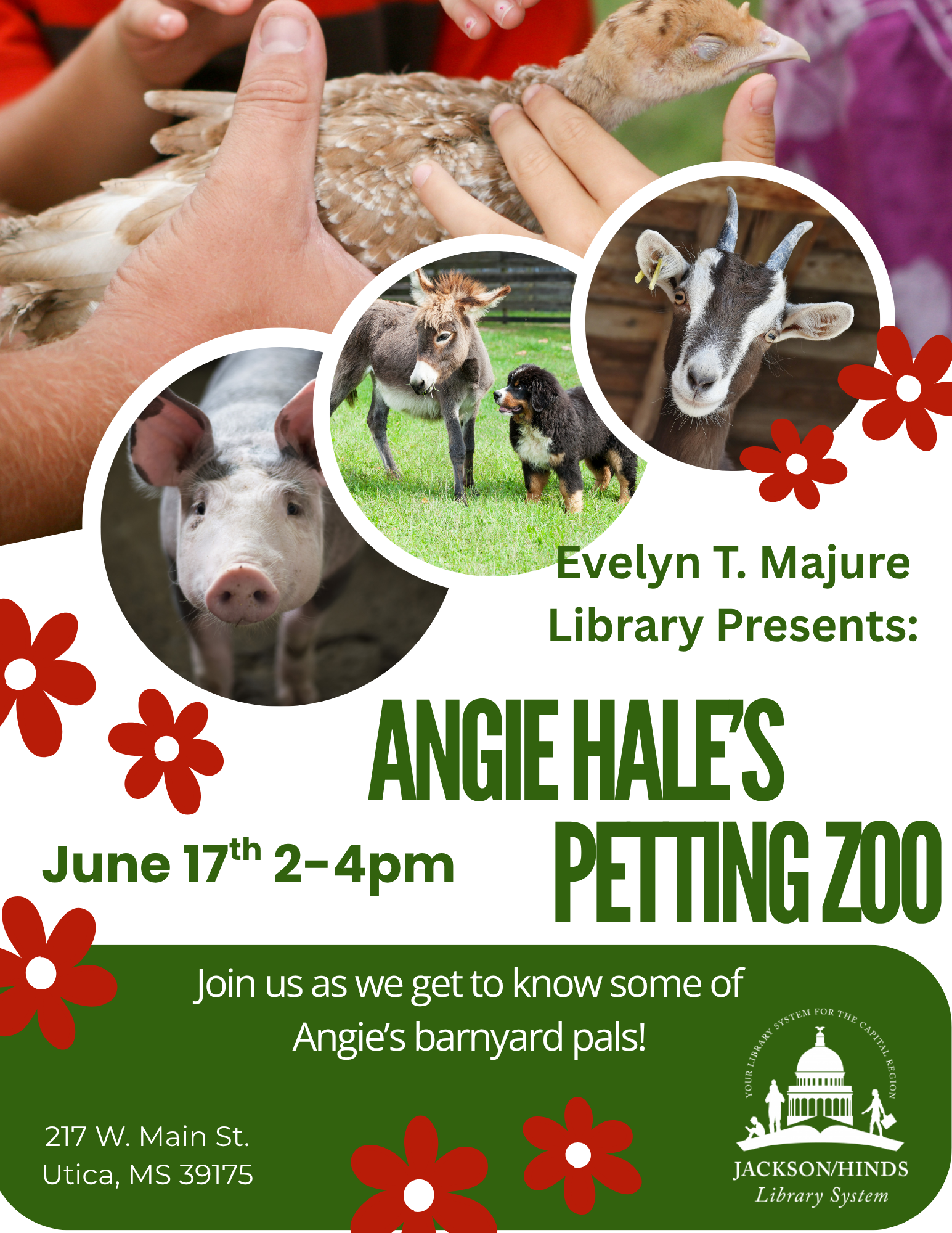 Angie Hales Petting Zoo