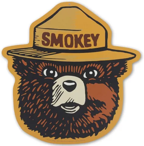 This depicts an illustration of a brown bear head with a yellow Ranger hat that says "Smokey."
