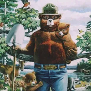 smokeybear.com/en/smokeys-history/about-the-campaign