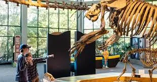 A small family looks at the bones of a Tyrannosaurus Rex.