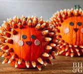 Let us put a little Spooky but Sweet touch on your seasonal display.
