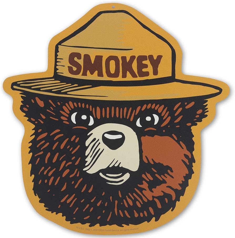 This depicts an illustration of a brown bear head with a yellow Ranger hat that says "Smokey."