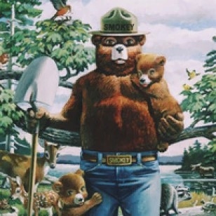 smokeybear.com/en/smokeys-history/about-the-campaign
