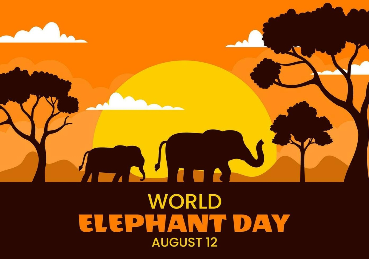 Time to Talk About The Elephants 