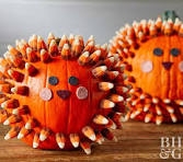 Let us put a little Spooky but Sweet touch on your seasonal display.