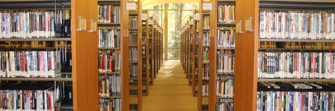 Quisenberry location image showing a row of bookshelves